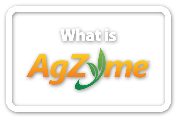 What is AgZyme?