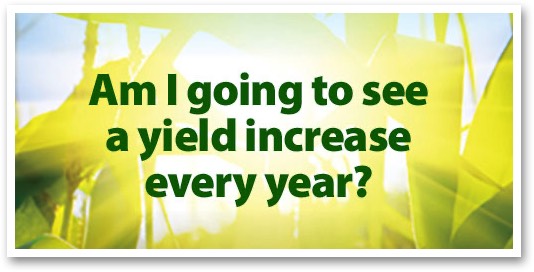 Am I going to see a yield increase every year?
