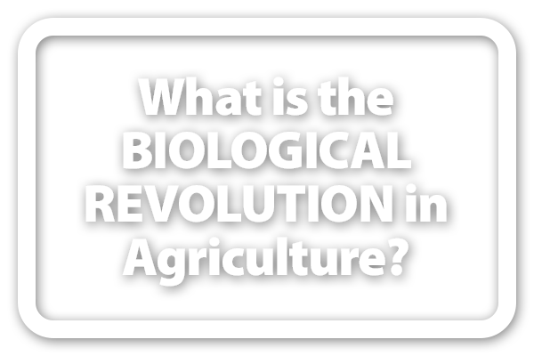 What is the Biological Revolution?