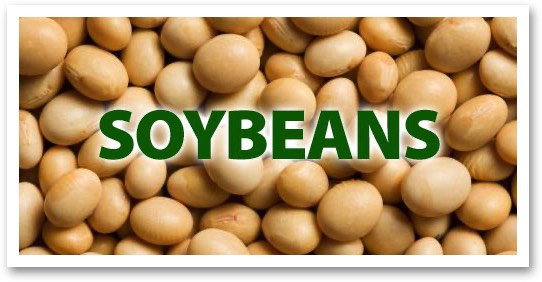 Soybeans